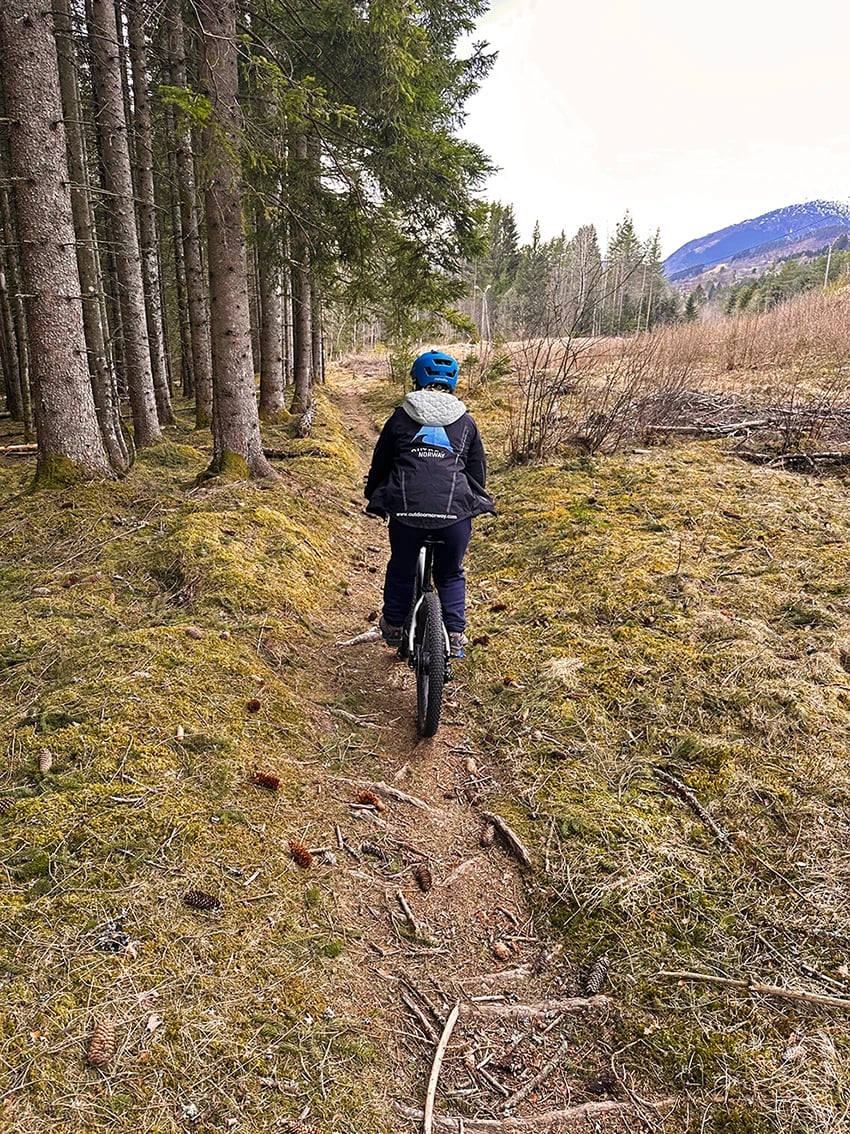 Cyclist riding forest road - 1
