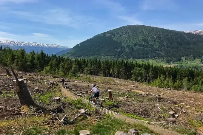 Mountain fietsen de grote heuvel