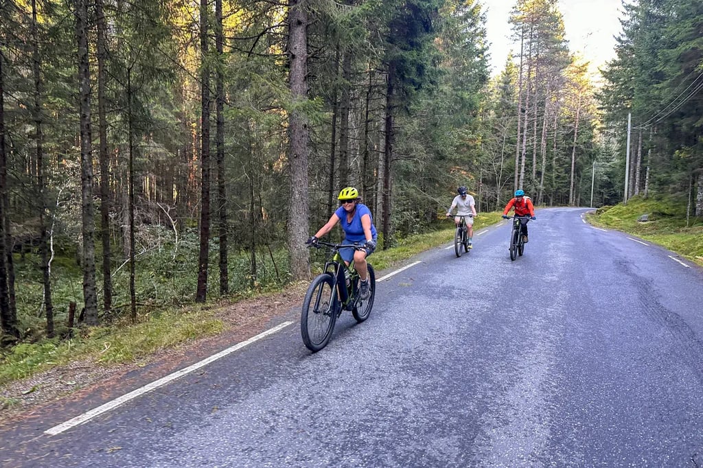 E-MTB tour in Voss _ Outdoor Norway-20