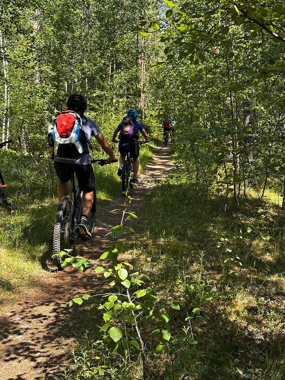 Mountainbikeparcours Dames