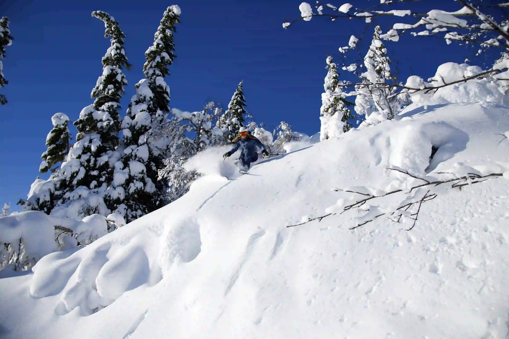 3-DAAGSE WINTER SPORT VERKENNER