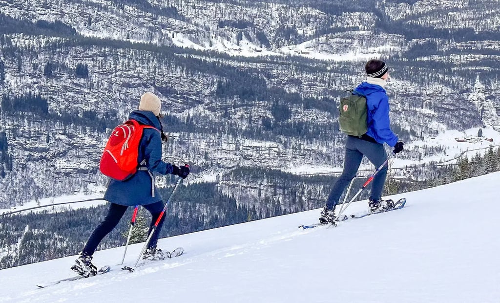 6 DAY SKI PACKAGE FRESH & CRUISERS 2025-10