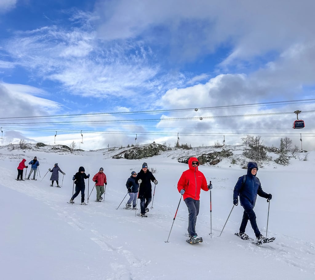 Sneeuwschoenen tour