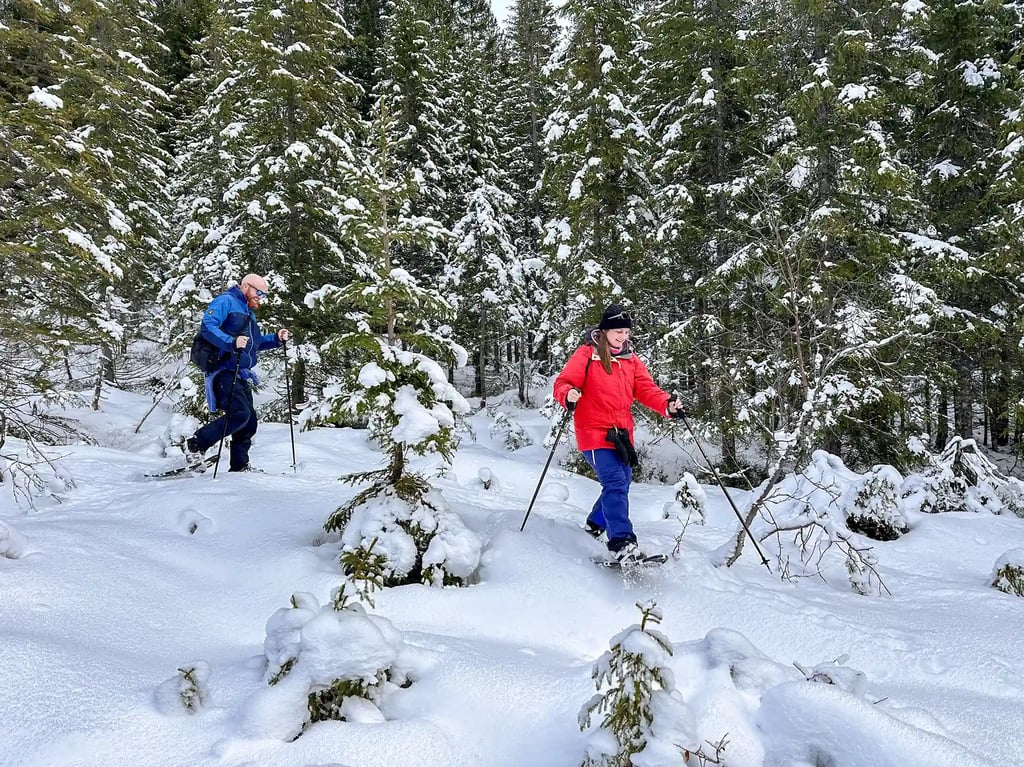 Sneeuwschoenen tour
