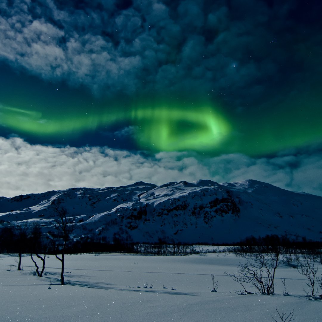 MEERDAAGSE_TOCHT_7 DAGEN SKIËN IN DE NOORSE FJORDEN & NOORDELIJK LICHT IN TROMSØ-23 (1)