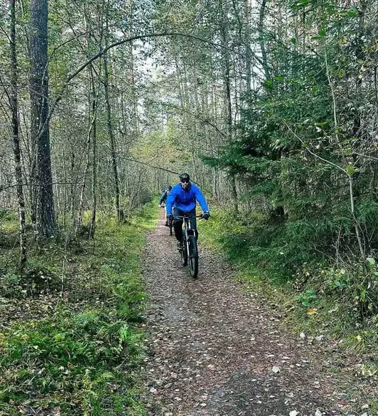 Forest trail biking
