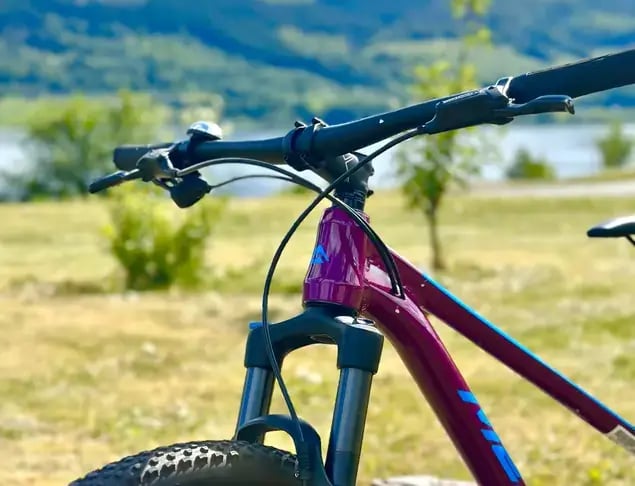 Verhuur HARDTAIL mountainbike -1