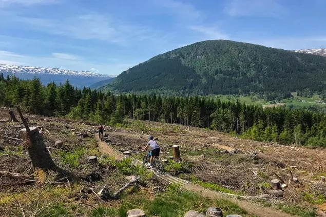 Je mountainbiketechniek verbeteren