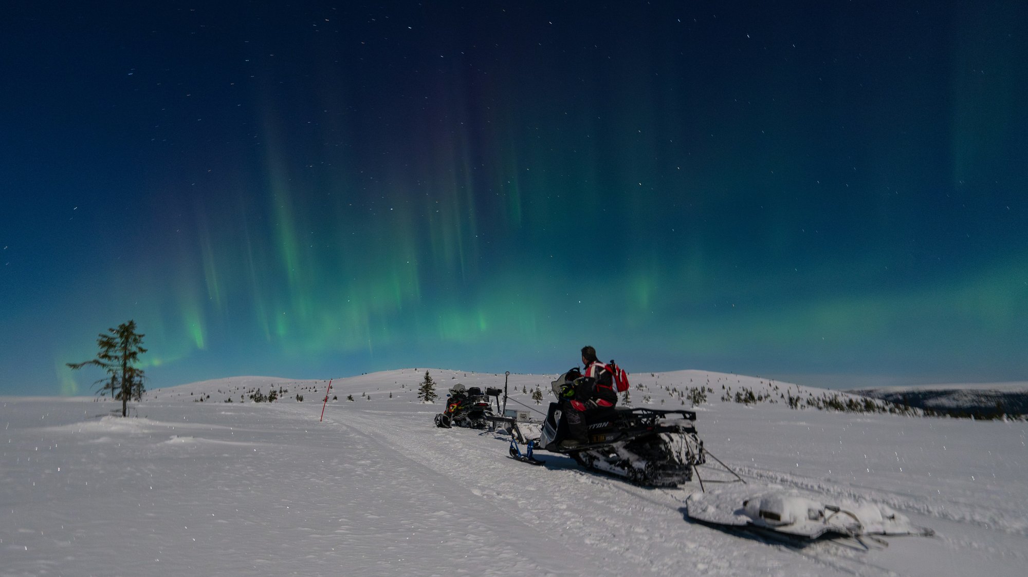 man-op-een-skimo-noorderlicht-Noorwegen