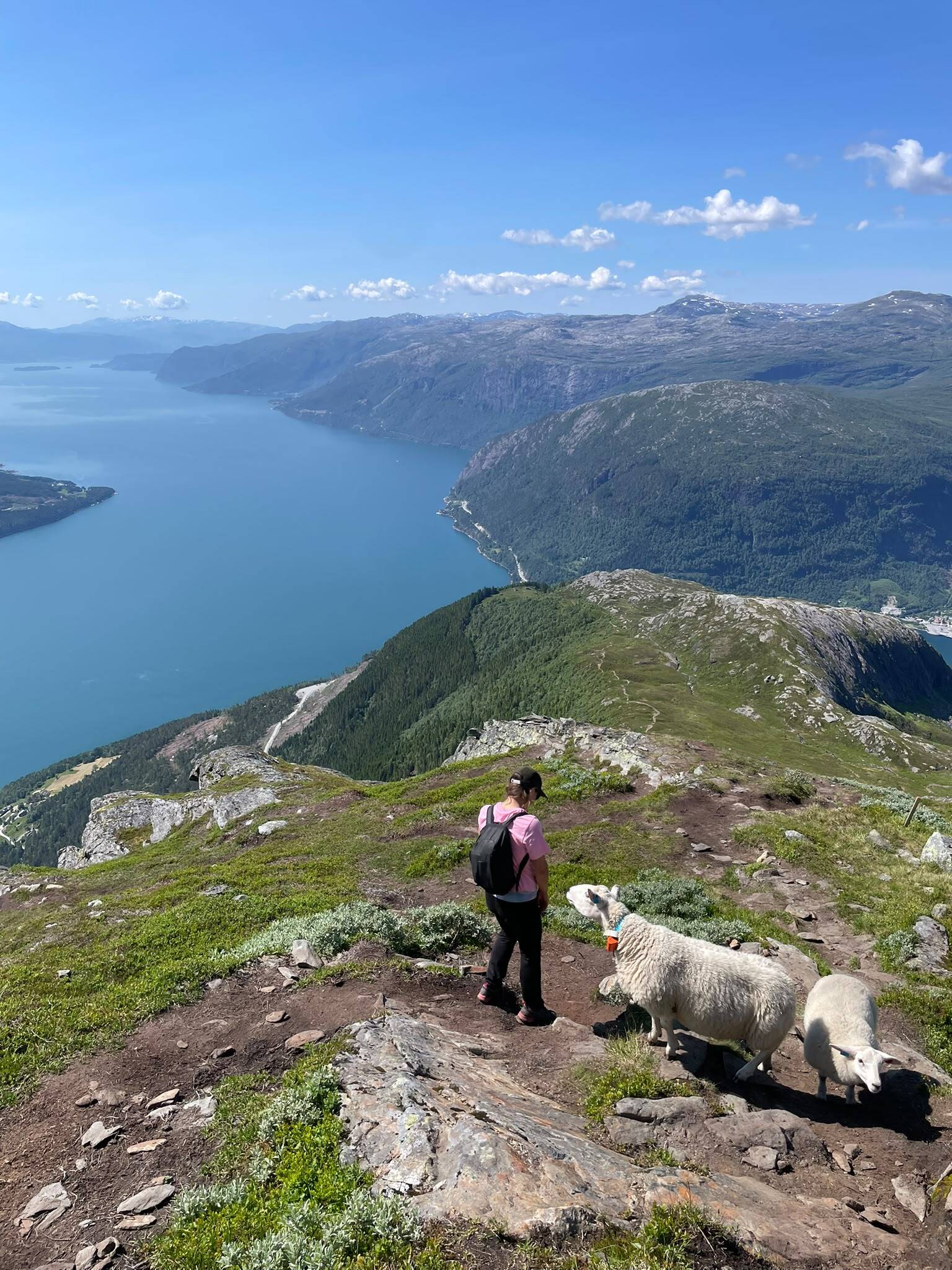Dag 5 – Door de hoge bergen